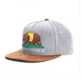 Trendy flat brimmed snapback hats cheech republic cap cartoon bear