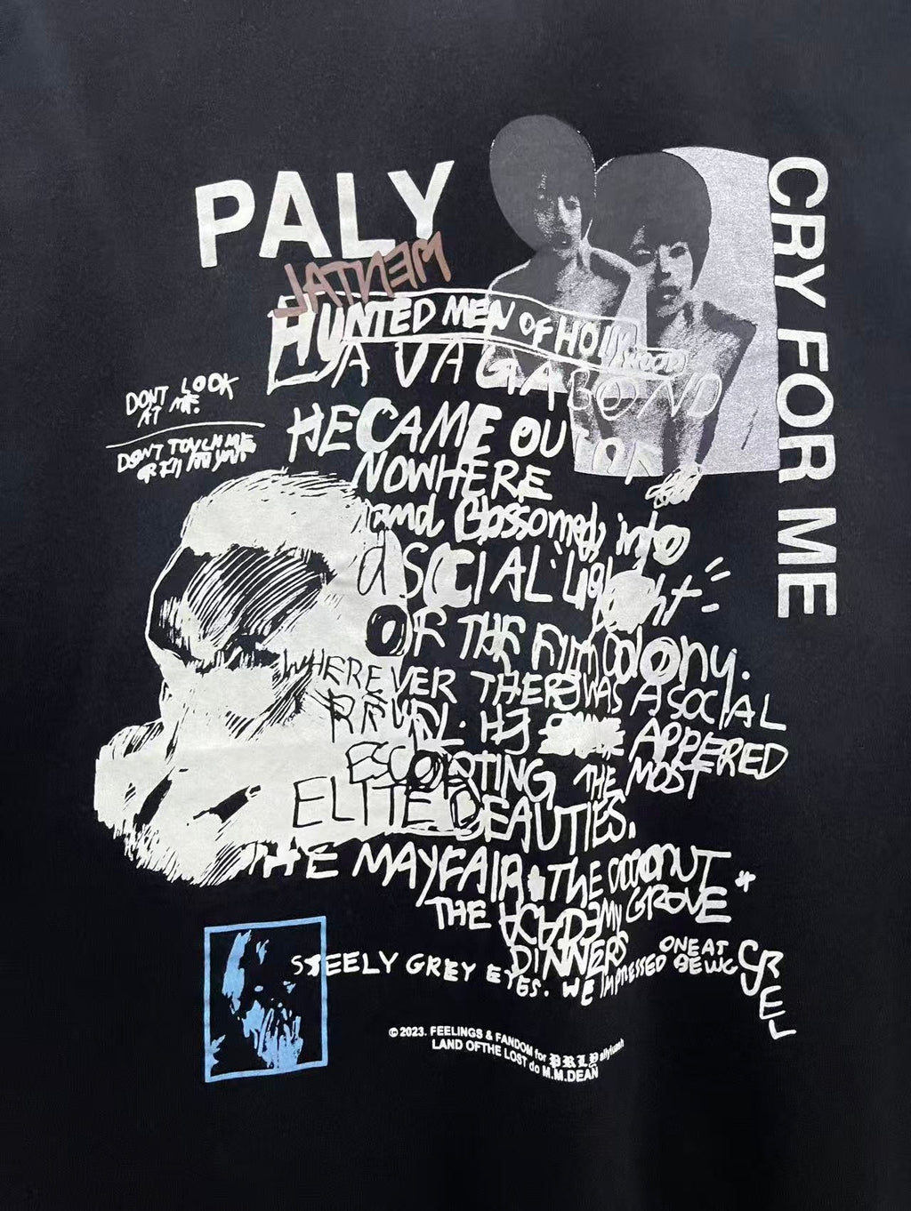 Paly Hollywood T Shirts