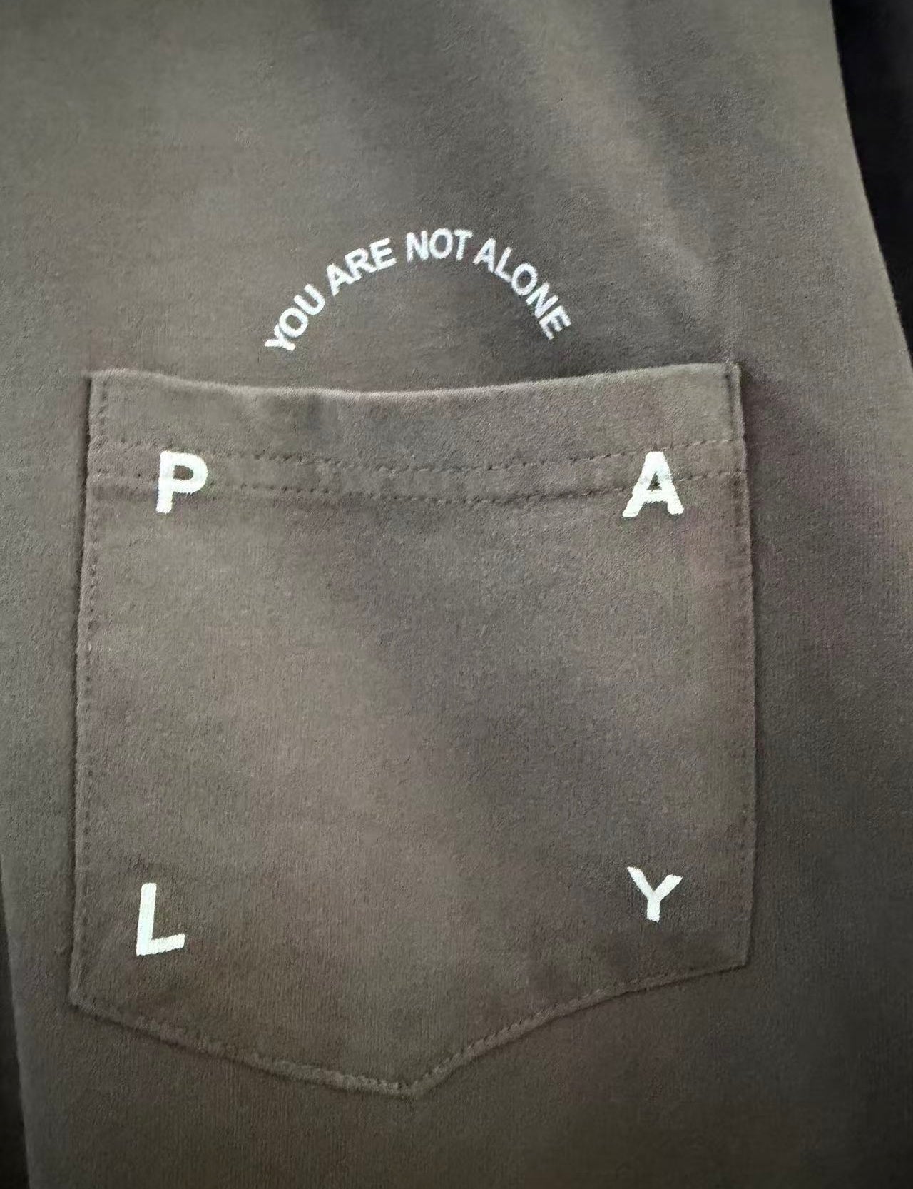 Paly Hollywood T Shirts