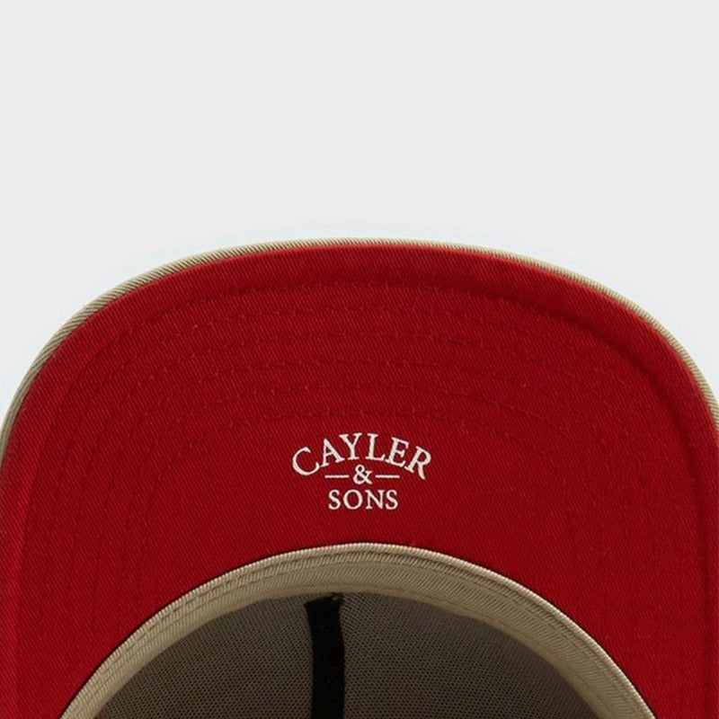 Trendy flat brimmed snapback hats cartoon