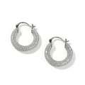 Earrings Zircon Earrings Spectrum