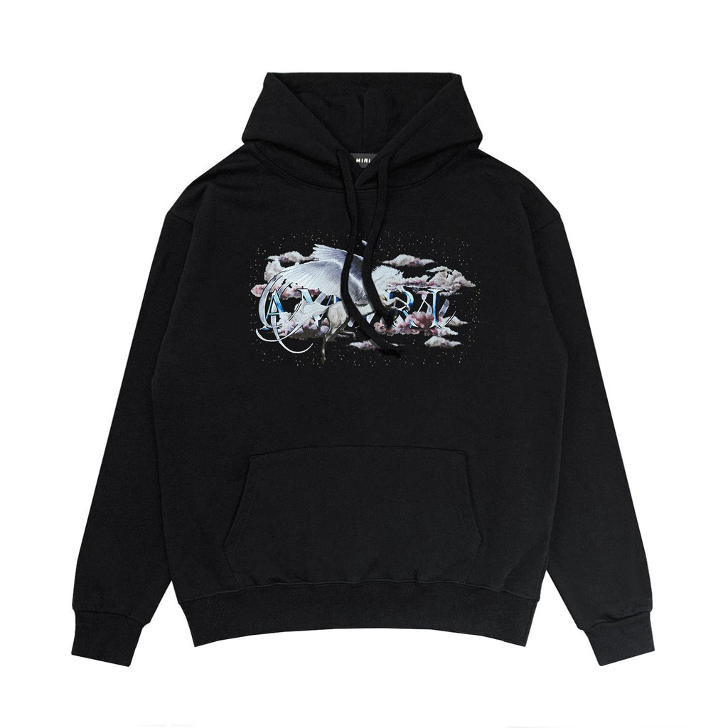 Amiri Hoodie Hoodie Sweatshirts Hooded Hoodie