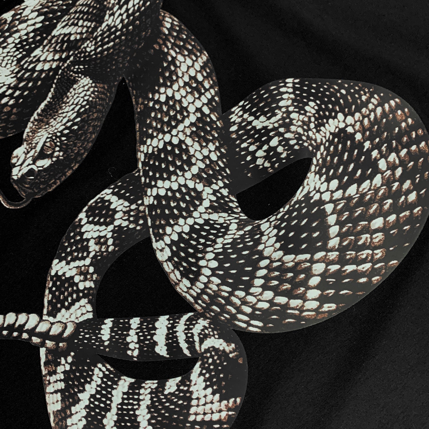 Amiri T Shirt Rattlesnake Printed Casual Round Neck