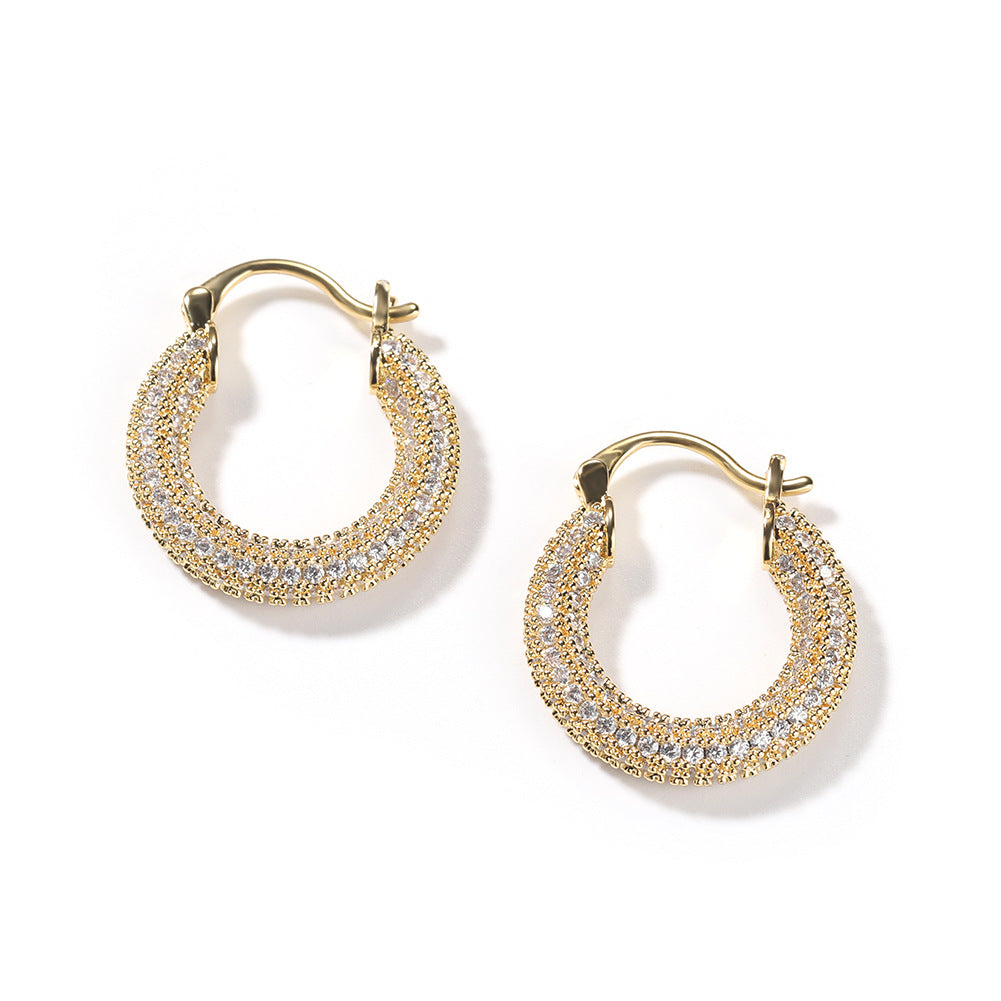 Earrings Zircon Earrings Spectrum