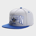 Trendy flat brimmed snapback hats BROOKLYN Sunshade Vintage