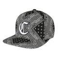 Trendy flat brimmed snapback hats cashew pattern sun shade