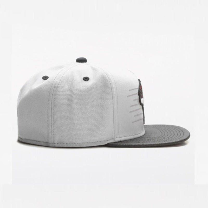 Trendy flat brimmed snapback hats cartoon