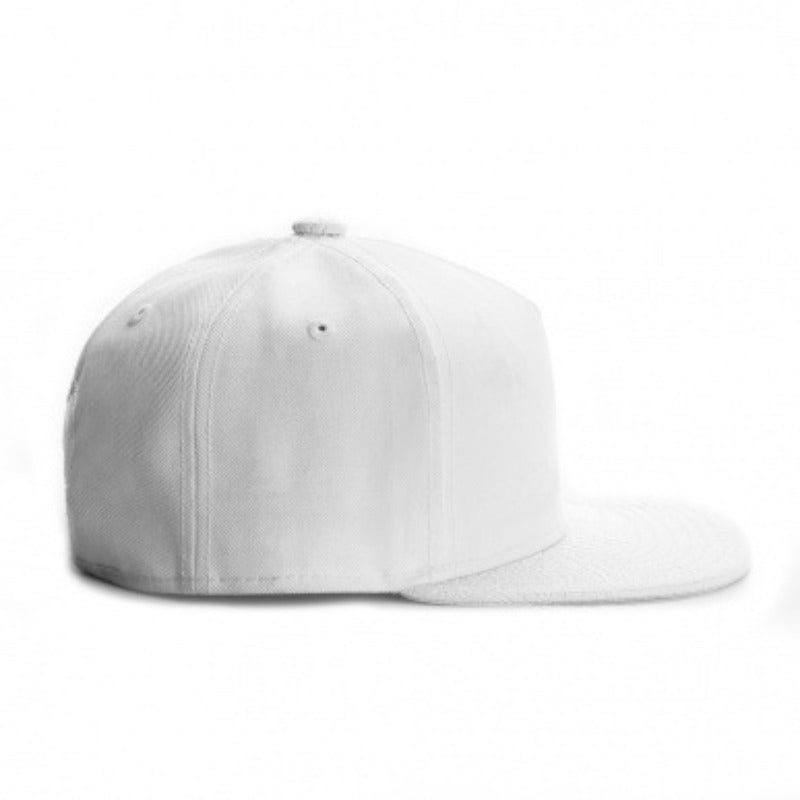 Trendy flat brimmed snapback hats blank light board