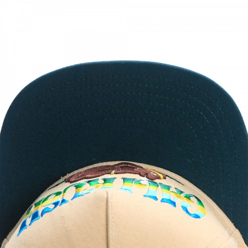 Trendy flat brimmed snapback hats cartoon bear kushstock cap for men and women